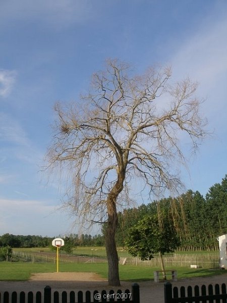 2007 05 Séjour en Brenne 018